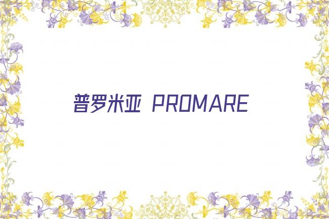 普罗米亚 PROMARE剧照